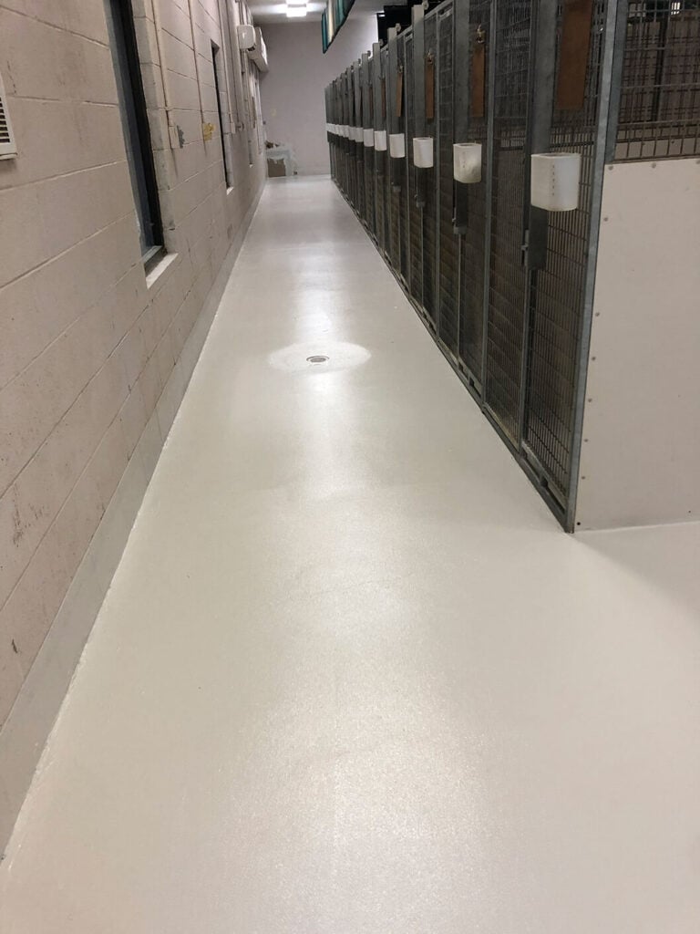painting and sealing of a dog kennel in Mt Pleasant, SC